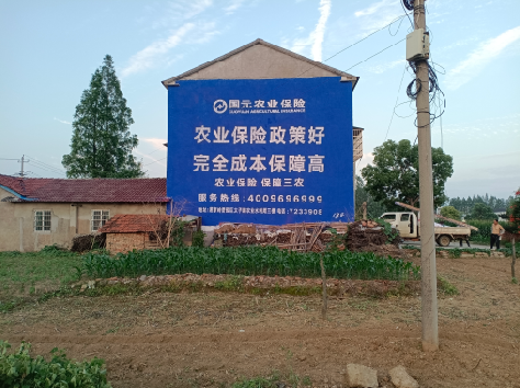 海盐墙体广告的优劣势你知道吗？