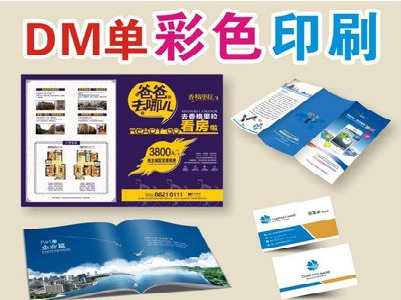 海盐单页印刷,色彩搭配简单。